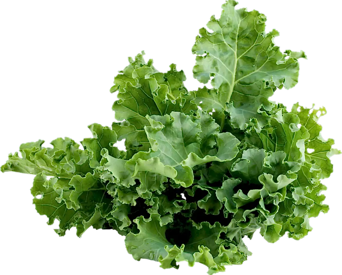 kale image